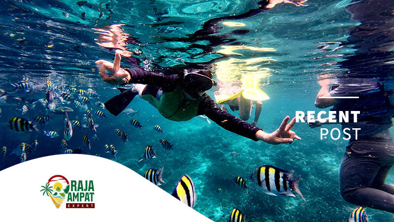 articles raja ampat expert (2)
