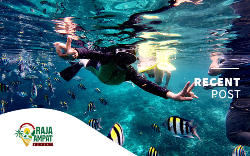 articles raja ampat expert (2)