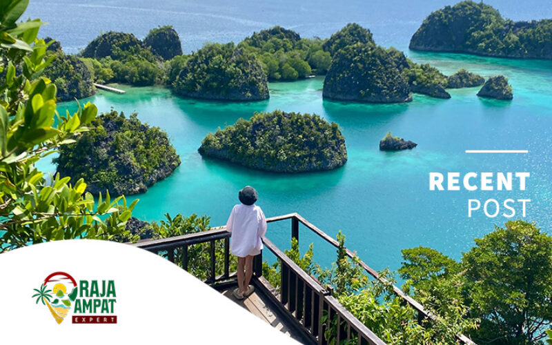articles raja ampat expert (3)