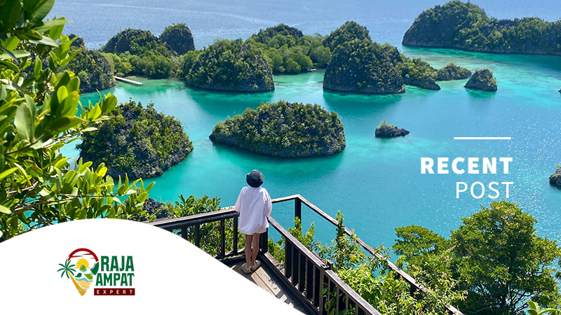 articles raja ampat expert (3)